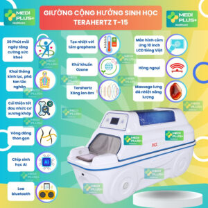 cabin xông hơi massage T15