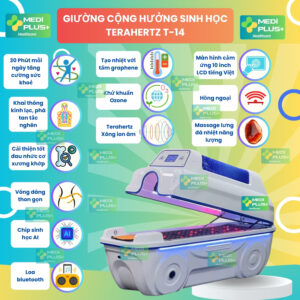 cabin xông hơi massage T14