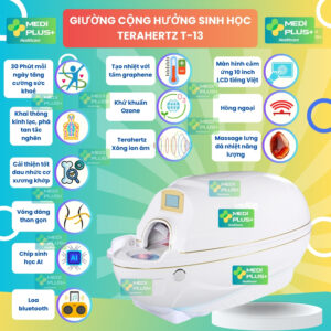 cabin thải độc t10
