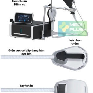 Máy từ trường siêu dẫn PM-DST 2 kênh độc lập