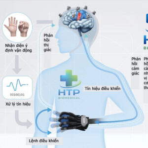 Robot tập bàn tay phục hồi chức năng H08G - Thu nhận tín hiệu EEG điều khiển tay