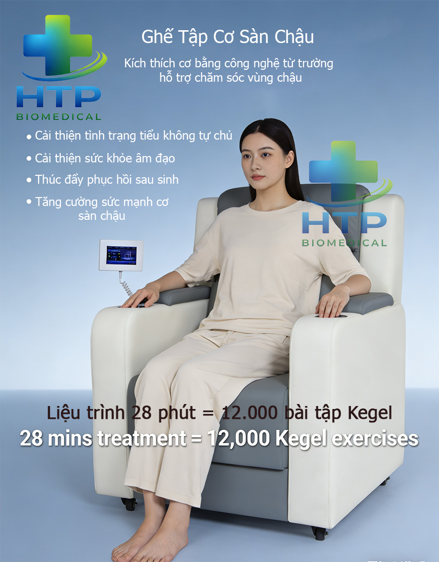 MÁY TẬP CƠ SÀN CHẬU HMC2S MÁY TẬP CƠ SÀN CHẬU HMC2S