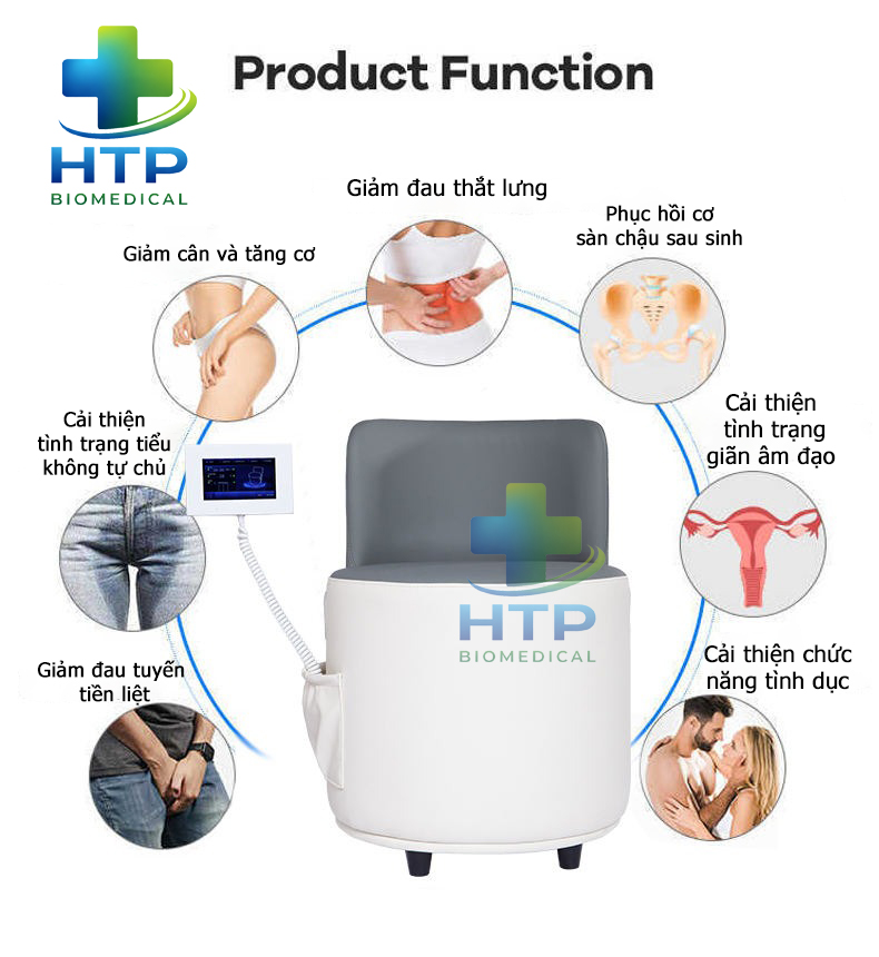 Ghế tập cơ sàn chậu HMC1S Ghế tập cơ sàn chậu HMC1S