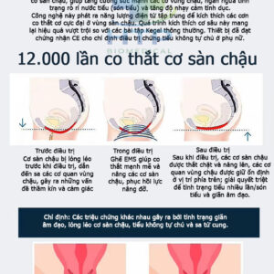 MÁY TẬP CƠ SÀN CHẬU HMC2S