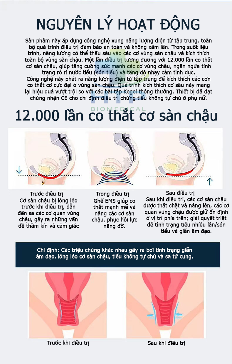 MÁY TẬP CƠ SÀN CHẬU HMC2S MÁY TẬP CƠ SÀN CHẬU HMC2S
