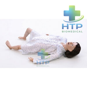 Mô hình mô phỏng sản phụ GD/F5700