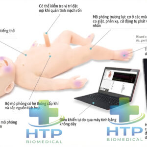 Mô hình Mô Phỏng Cấp Cứu Nhi Khoa GD/ACLS3400