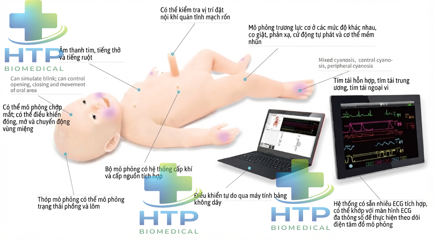 Mô hình Mô Phỏng Cấp Cứu Nhi Khoa GD/ACLS3400 Mô hình Mô Phỏng Cấp Cứu Nhi Khoa GD/ACLS3400